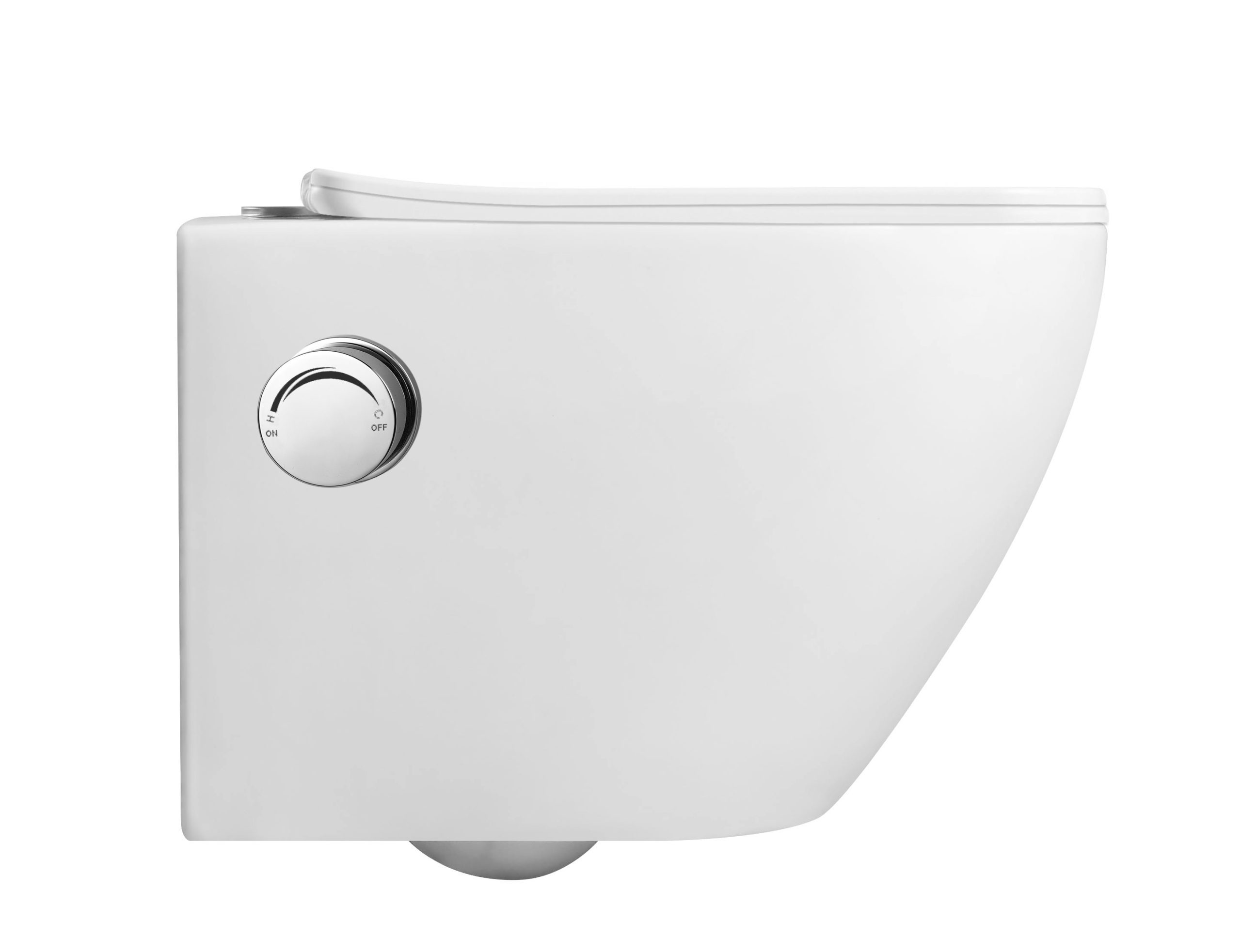 Delivo Livorno bidet toilet wit rimfree met softclose zitting 2