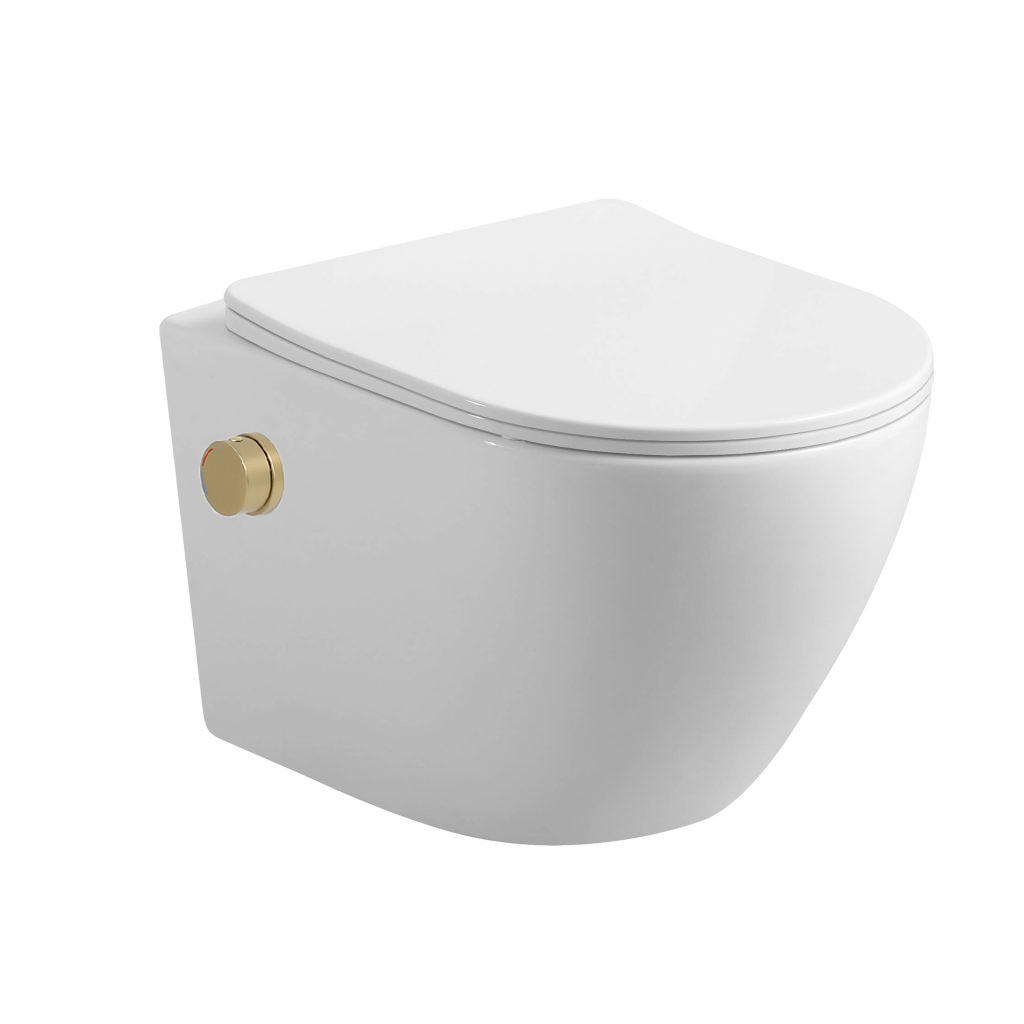 Delivo Liva bidet toilet wit rimfree met softclose zitting (kopie)
